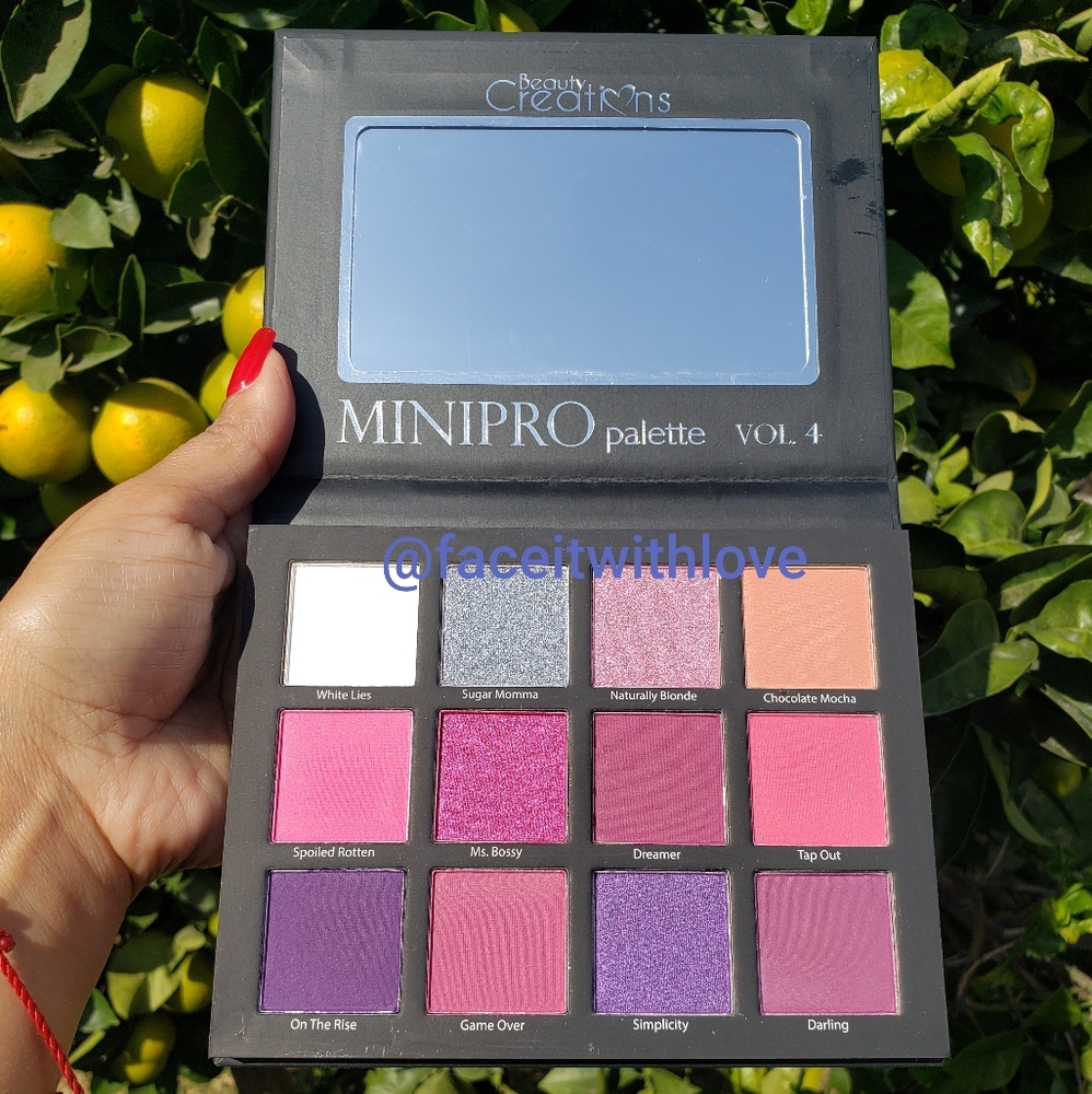 Mini Pro Eyeshadow Palette Vol. 4